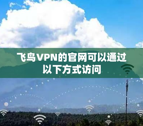 飞鸟VPN的官网可以通过以下方式访问 飞鸟VPN的官网可以通过以下方式访问