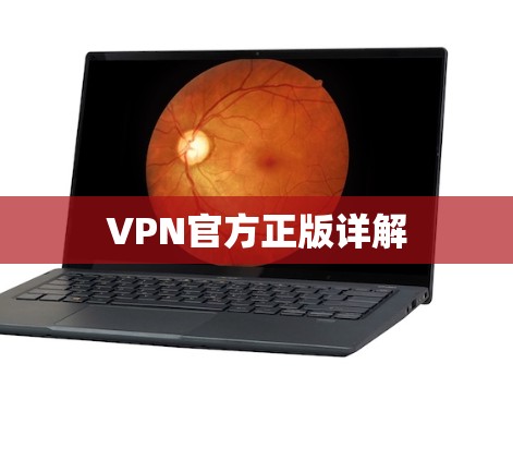 VPN官方正版详解 VPN官方正版详解