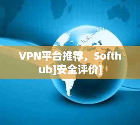 VPN平台推荐，Softhub]安全评价]