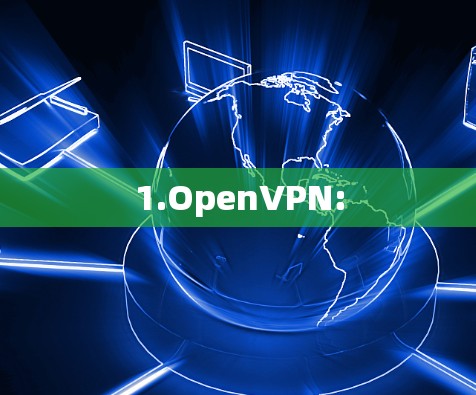 1.OpenVPN: 1.OpenVPN: