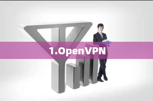 1.OpenVPN 1.OpenVPN