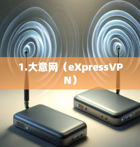 1.大意网(eXpressVPN)