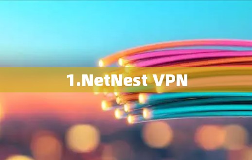 1.NetNest VPN